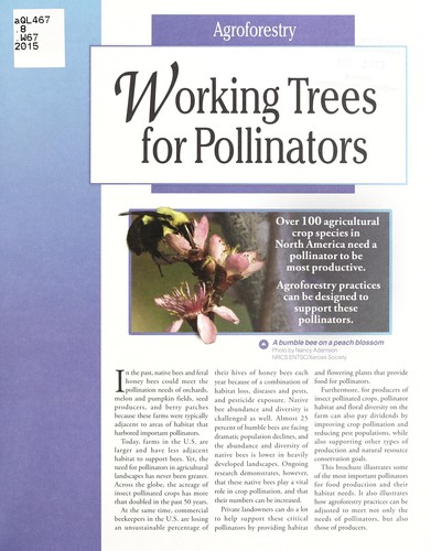 Working trees for pollinators