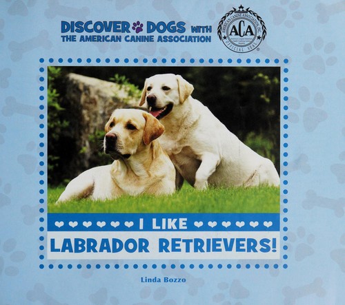 I Like Labrador Retrievers!
