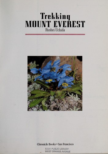 Trekking Mount Everest