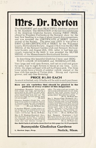 Mrs. Dr. Norton, the grandest and most beautiful gladiolus produced by Kunderd