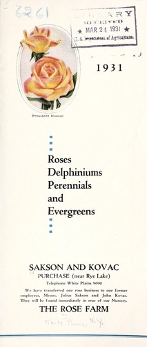 Roses, delphiniums, perennials and evergreens
