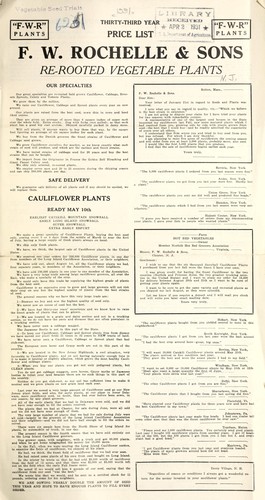 Re-rooted vegetable plants