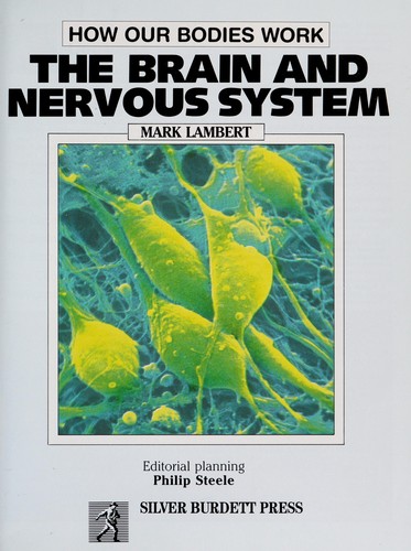 The brain and nervous system