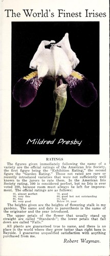 The world's finest irises