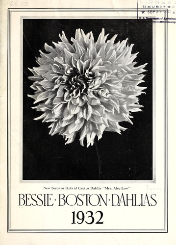 Bessie Boston dahlias, 1932