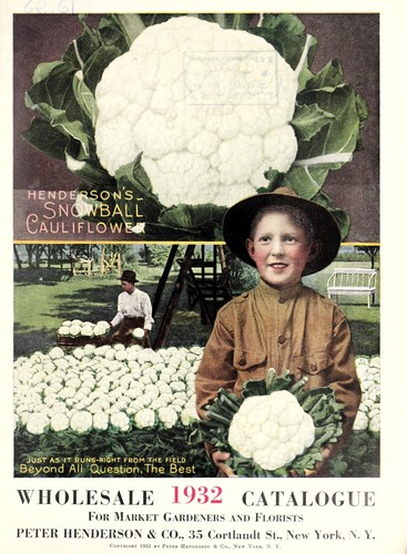 Wholesale 1932 catalogue for market gardeners and florists