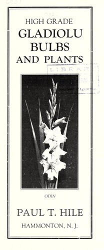High grade gladioli bulbs and plants
