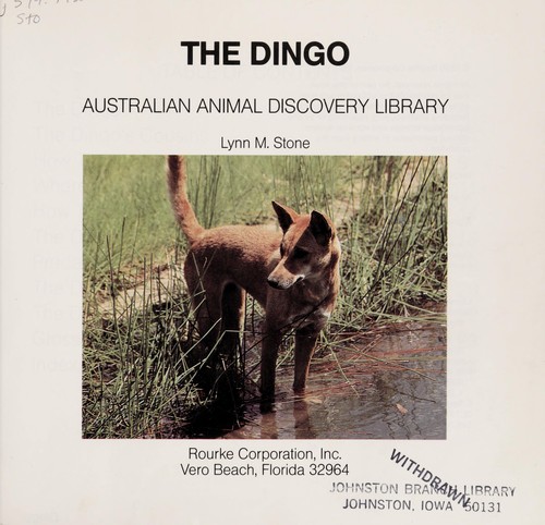 Dingoes