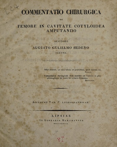 Suite des conjectures physiques