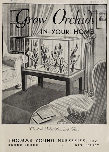 Price list of orchids plants