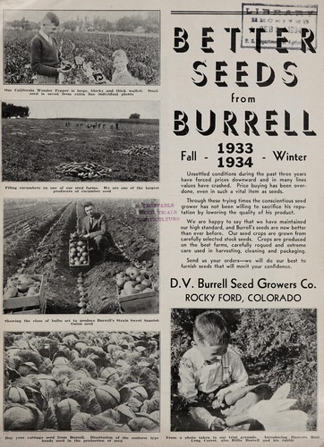 Better seeds from Burrell