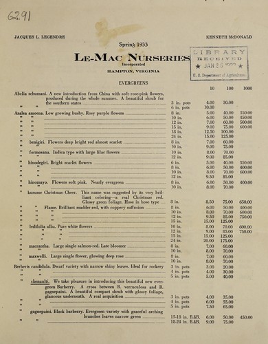 Spring 1933 evergreens