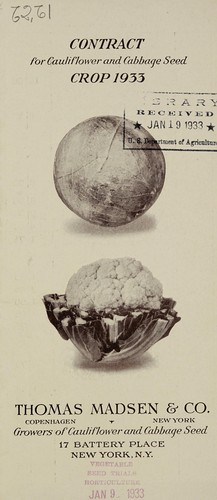Contract for cauliflower and cabbage seed