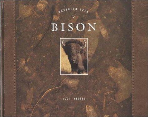 Bison (Northern Trek)