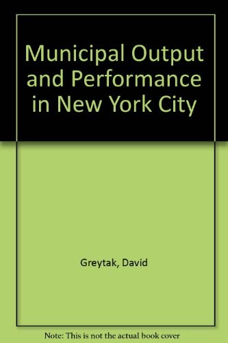 Municipal output and performance in New York City