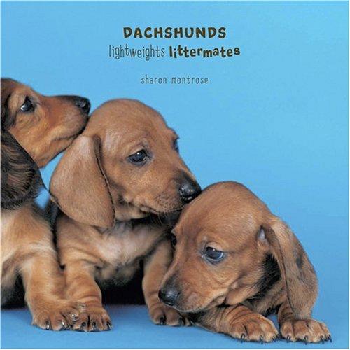 Dachshunds