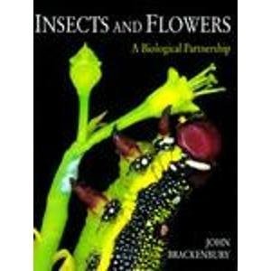 Insects and flowers