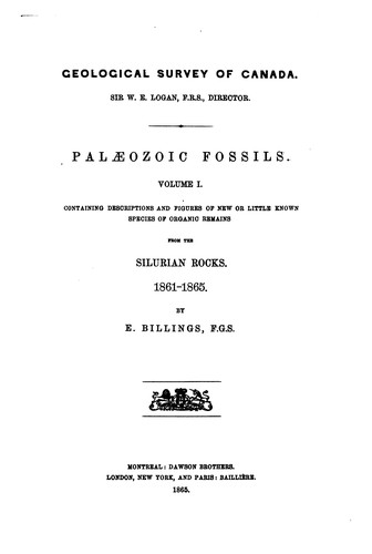 Palaeozoic Fossils