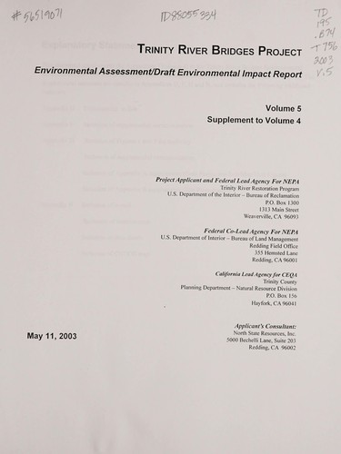 Trinity River Bridges Project