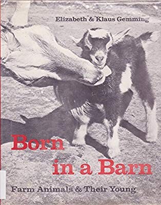 Born in a barn