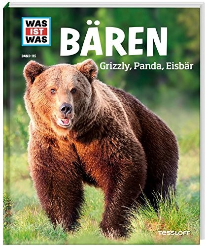 Bären. Grizzly, Panda, Eisbär