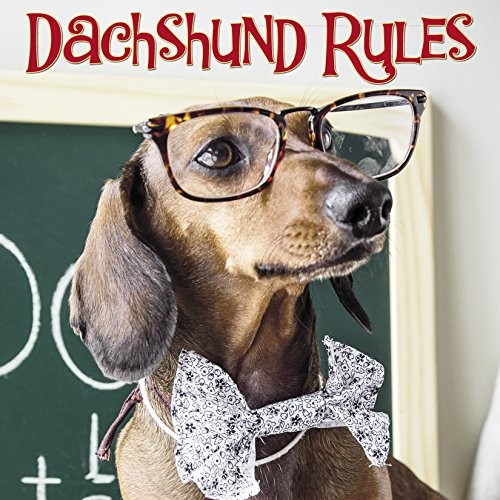 Dachshund Rules