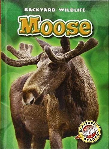 Moose