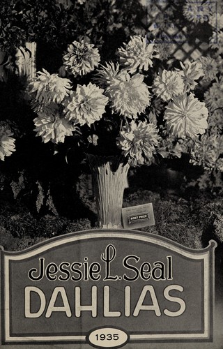 Dahlias, 1935