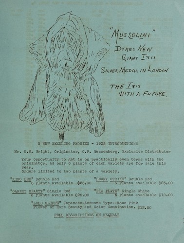 Peonies and irises, quality stock