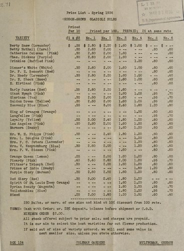 Oregon grown gladioli