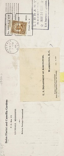 Bolen Florist and Camellia Gardens, Lucedale, Mississippi