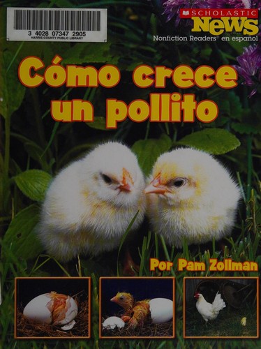 Cómo crece un pollito