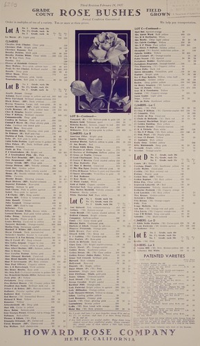 Rose bushes, grade count, field grown