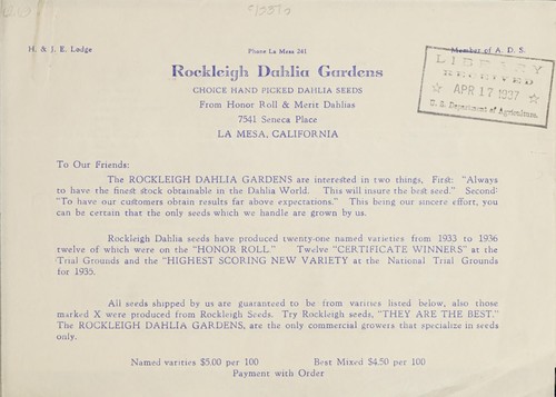 Choice hand picked dahlia seeds from honor roll & merit dahlias