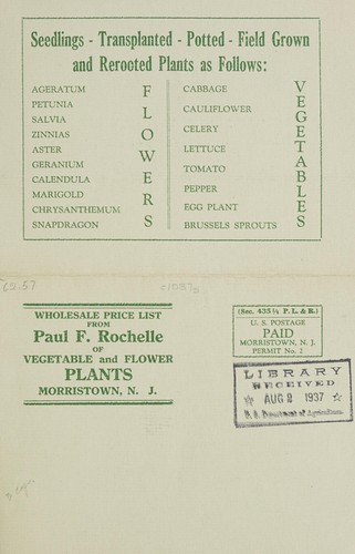 Wholesale price list from Paul F. Rochelle of vegetable and flower plants