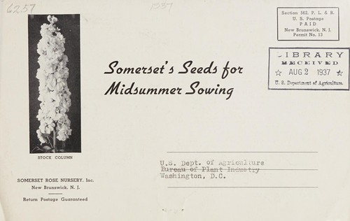Somerset's seeds for midsummer sowing