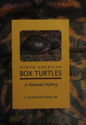 North American box turtles