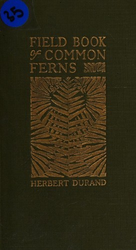 Field book of common ferns