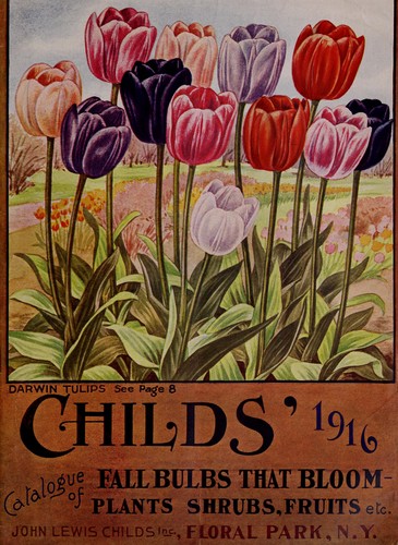 Childs' catalogue of fall bulbs that bloom