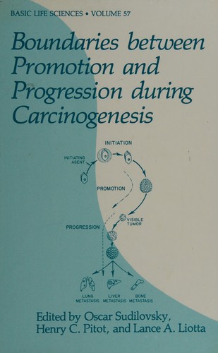 Boundaries between Promotion and Progression during Carcinogenesis (Basic Life Sciences)