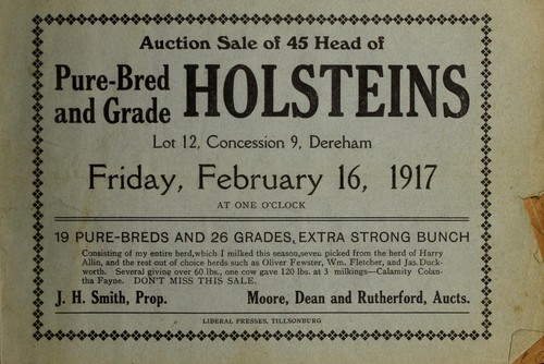 Auction sale of 45 head of pure-bred and grade Holsteins