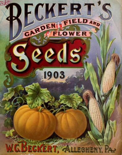Beckert's garden field and flower seeds