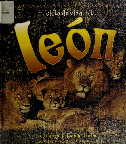 El ciclo de vida de un león