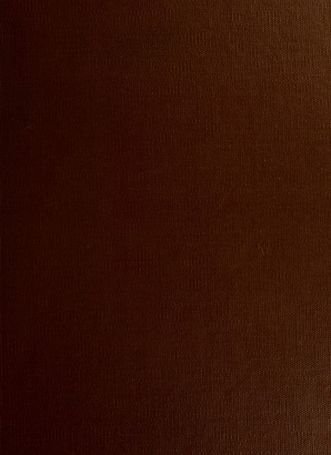 Kinetic study of the hypersonic flow past the leading edge of a flat plate