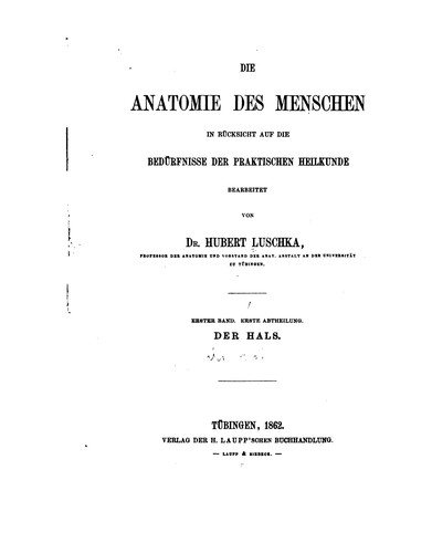 Die Anatomie des Menschen in Rücksicht auf die Bedürfnisse der praktischen Heilkunde. Bd.3