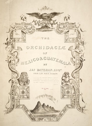 The Orchidaceae of Mexico and Guatemala