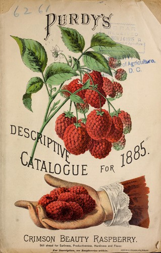 Purdy's descriptive catalogue for 1885