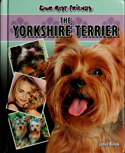 The Yorkshire terrier