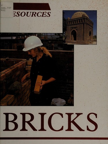 Bricks