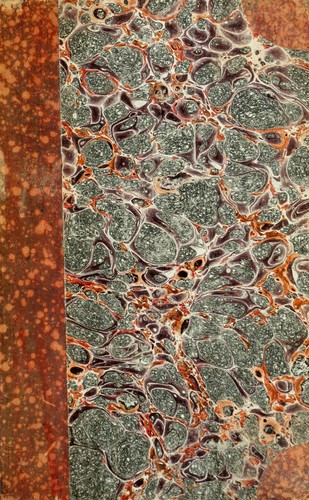 Revista de España, de Indias y del Extrangero